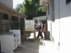 IMG_6479.jpg (50kb)