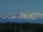 PICT9903.jpg (40kb)
