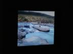 PICT9920.jpg (40kb)