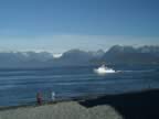 PICT9974.jpg (63kb)