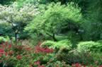 PICT0170.jpg (154kb)