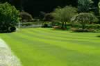 PICT0254.jpg (83kb)