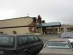109-0964_IMG.jpg (33kb)