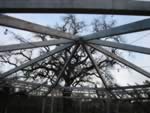 110-1039_IMG.jpg (75kb)
