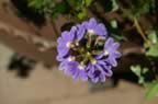 PICT0913.jpg (47kb)