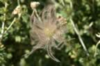 Pict0979.jpg (21kb)