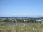 IMG_6166.jpg (53kb)