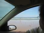 IMG_9690.jpg (50kb)