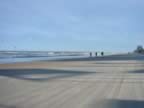 IMG_9834.jpg (44kb)
